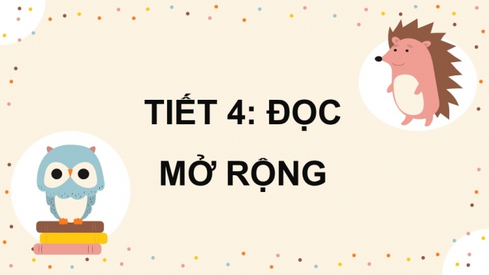 Giáo án điện tử Tiếng Việt 5 kết nối Bài 14: Đọc mở rộng (Tập 2)