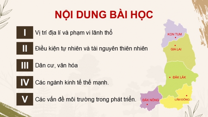 Giáo án điện tử Địa lí 9 kết nối Bài 17: Vùng Tây Nguyên (P2)