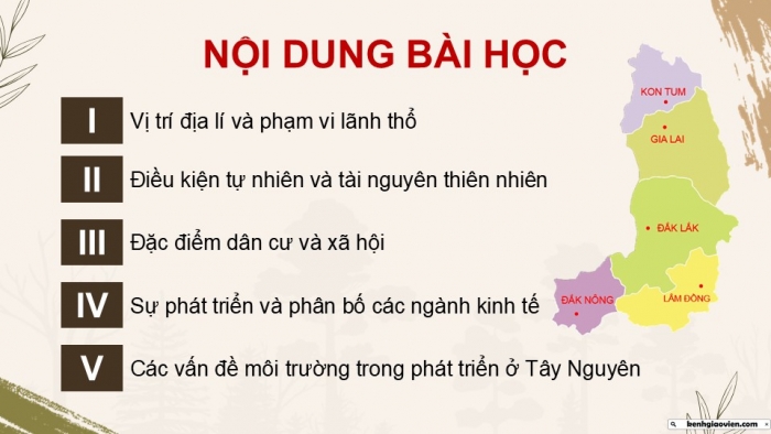 Giáo án điện tử Địa lí 9 cánh diều Bài 15: Vùng Tây Nguyên (P2)