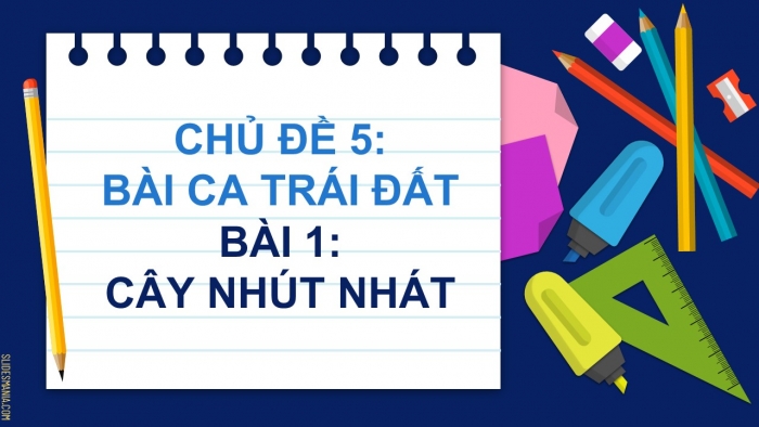 Giáo án điện tử Tiếng Việt 2 chân trời Bài 1: Đọc Cây nhút nhát