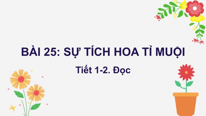 Giáo án điện tử tiếng Việt 2 kết nối Bài 25: Sự tích hoa tỉ muội