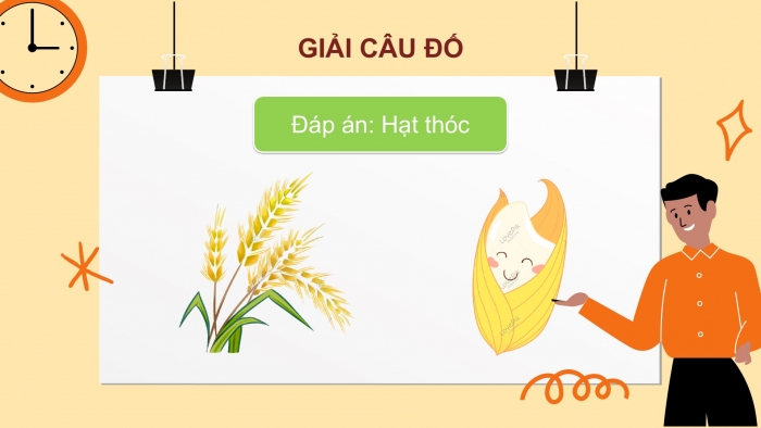 Giáo án điện tử Tiếng Việt 2 kết nối Bài 7: Hạt thóc