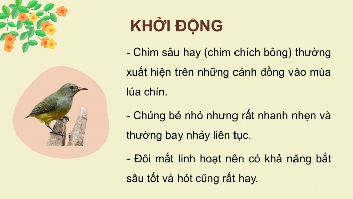 Giáo án điện tử Tiếng Việt 2 kết nối Bài 9: Vè chim