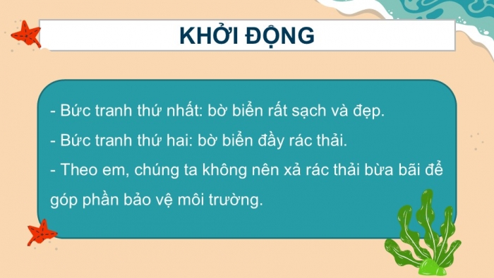 Giáo án điện tử Tiếng Việt 2 kết nối Bài 15: Những con sao biển