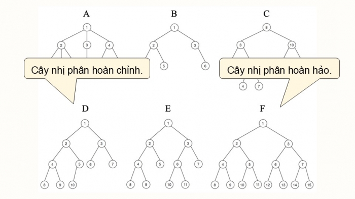 Giáo án điện tử chuyên đề Khoa học máy tính 12 cánh diều Bài 2: Thực hành duyệt cây nhị phân