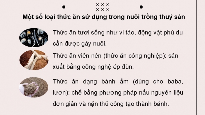 Giáo án điện tử chuyên đề Công nghệ 12 Lâm nghiệp Thuỷ sản Cánh diều Bài 6: Ứng dụng công nghệ sinh học trong sản xuất thức ăn thuỷ sản