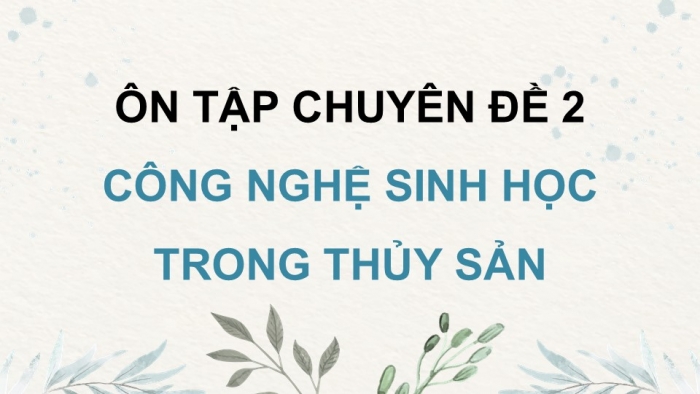 Giáo án điện tử chuyên đề Công nghệ 12 Lâm nghiệp Thuỷ sản Cánh diều Ôn tập CĐ 2