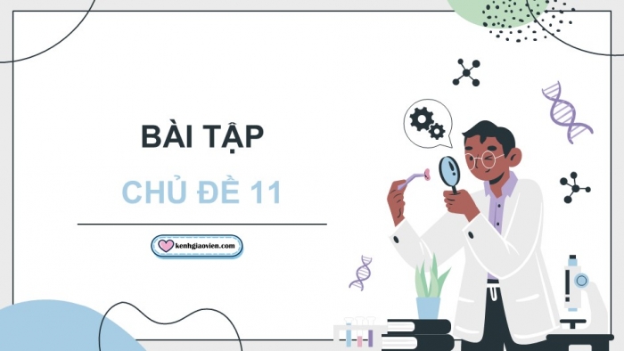 Giáo án điện tử KHTN 9 cánh diều - Phân môn Sinh học Bài tập (Chủ đề 11)