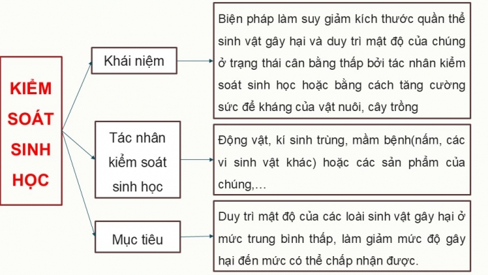 Giáo án điện tử chuyên đề Sinh học 12 chân trời Ôn tập CĐ 2