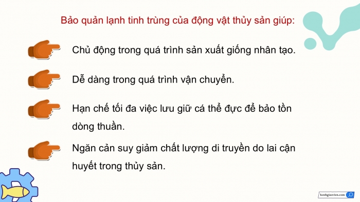 Giáo án điện tử Công nghệ 12 Lâm nghiệp - Thủy sản Kết nối Bài 15: Ứng dụng công nghệ sinh học trong chọn và nhân giống thủy sản