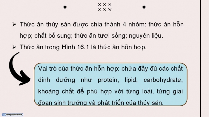 Giáo án điện tử Công nghệ 12 Lâm nghiệp - Thủy sản Kết nối Bài 16: Thức ăn thủy sản