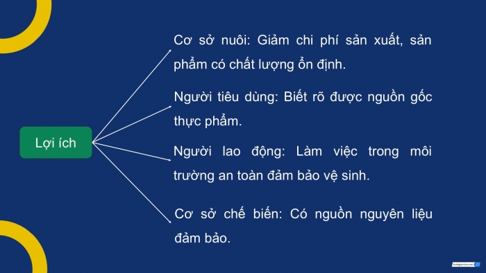 Giáo án điện tử Công nghệ 12 Lâm nghiệp - Thủy sản Kết nối Bài 20: Nuôi thủy sản theo tiêu chuẩn VietGAP