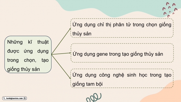 Giáo án điện tử chuyên đề Công nghệ 12 Lâm nghiệp Thuỷ sản Cánh diều Bài 5: Ứng dụng công nghệ sinh học trong sinh sản và chọn, tạo giống thuỷ sản