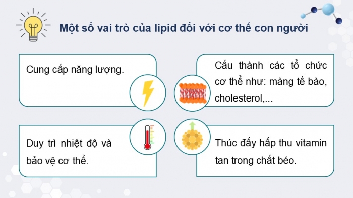 Giáo án điện tử KHTN 9 chân trời - Phân môn Hoá học Bài 26: Lipid và chất béo