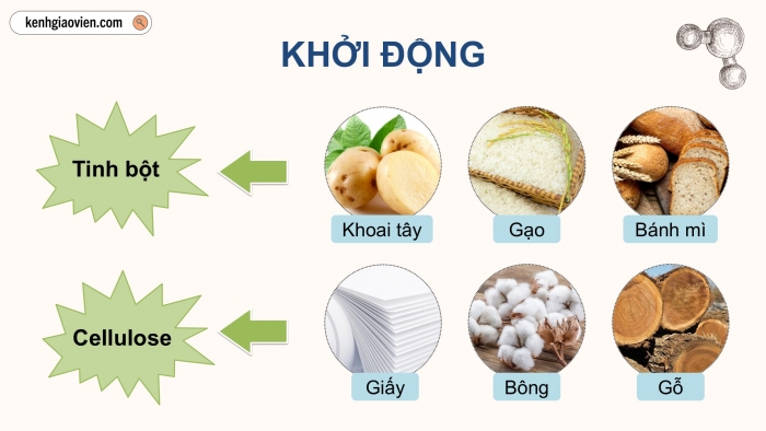 Giáo án điện tử KHTN 9 chân trời - Phân môn Hoá học Bài 28: Tinh bột và cellulose