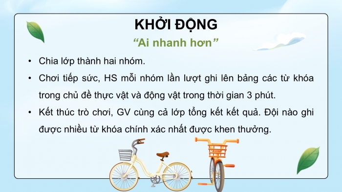 Giáo án điện tử Khoa học 5 kết nối Bài 17: Ôn tập chủ đề Thực vật và động vật