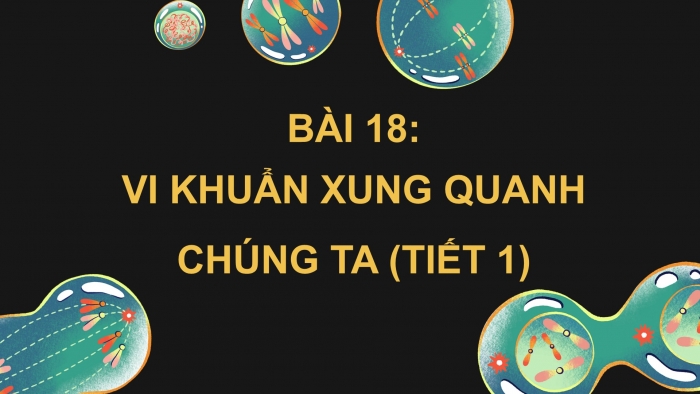 Giáo án điện tử Khoa học 5 kết nối Bài 18: Vi khuẩn xung quanh chúng ta