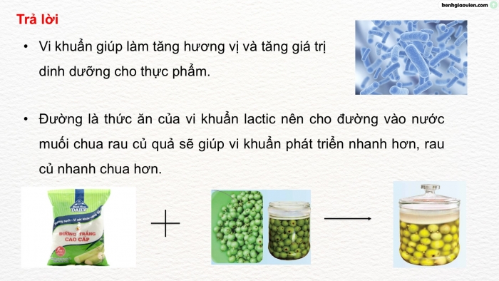 Giáo án điện tử Khoa học 5 kết nối Bài 21: Ôn tập chủ đề Vi khuẩn