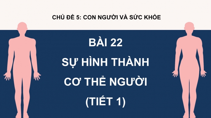 Giáo án điện tử Khoa học 5 kết nối Bài 22: Sự hình thành cơ thể người