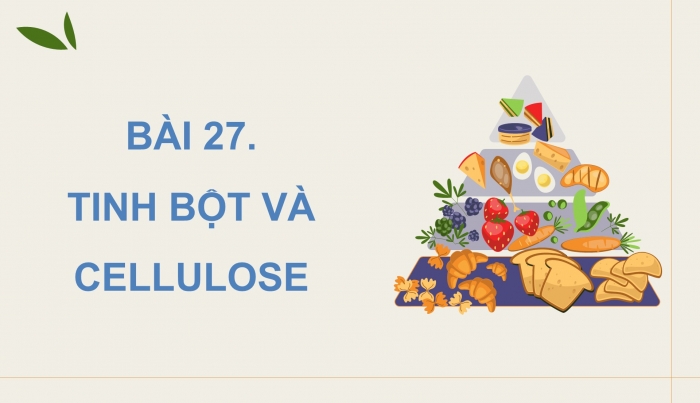 Giáo án điện tử KHTN 9 cánh diều - Phân môn Hoá học Bài 27: Tinh bột và cellulose
