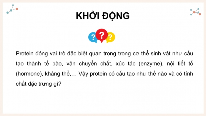 Giáo án điện tử KHTN 9 cánh diều - Phân môn Hoá học Bài 28: Protein