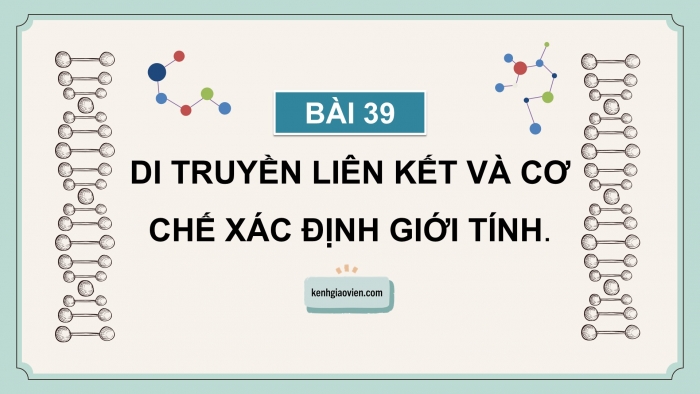 Giáo án điện tử KHTN 9 cánh diều - Phân môn Sinh học Bài 39: Di truyền liên kết và cơ chế xác định giới tính