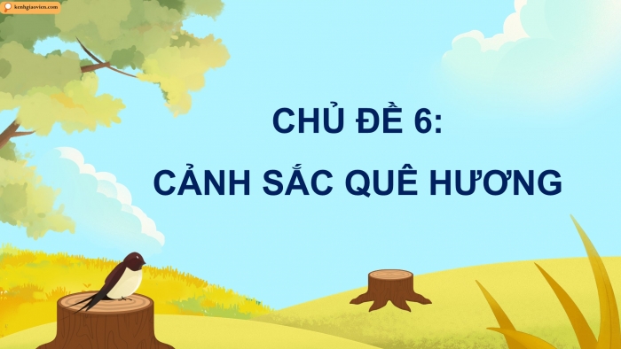 Giáo án điện tử Mĩ thuật 5 kết nối Chủ đề 6: Cảnh sắc quê hương