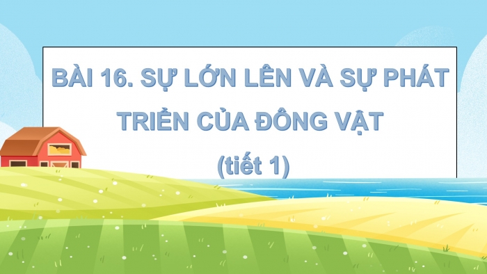 Giáo án điện tử Khoa học 5 chân trời Bài 16: Sự lớn lên và phát triển của động vật