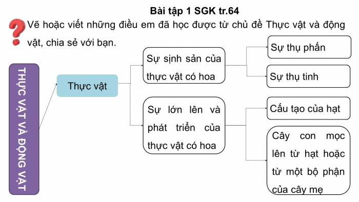 Giáo án điện tử Khoa học 5 chân trời Bài 17: Ôn tập chủ đề Thực vật và động vật