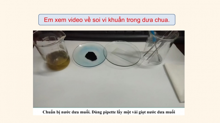 Giáo án điện tử Khoa học 5 chân trời Bài 19: Vi khuẩn có ích trong chế biến thực phẩm