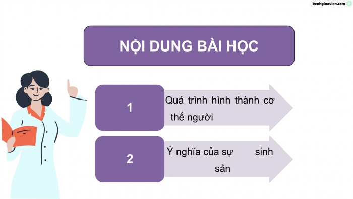 Giáo án điện tử Khoa học 5 chân trời Bài 23: Sự sinh sản ở người