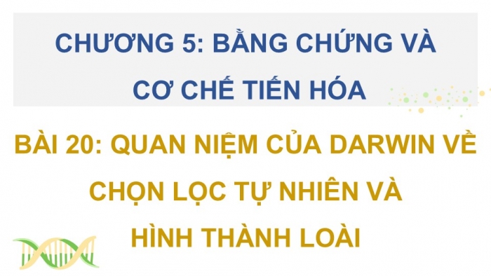 Giáo án điện tử Sinh học 12 kết nối Bài 20: Quan niệm của Darwin về chọn lọc tự nhiên và hình thành loài