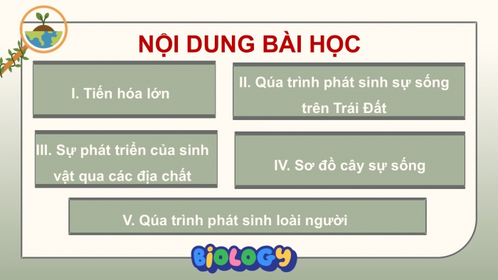 Giáo án điện tử Sinh học 12 kết nối Bài 22: Tiến hoá lớn và quá trình phát sinh chủng loại