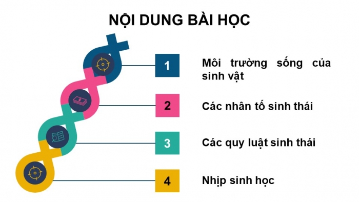 Giáo án điện tử Sinh học 12 kết nối Bài 23: Môi trường và các nhân tố sinh thái