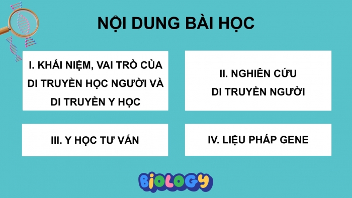 Giáo án điện tử Sinh học 12 chân trời Bài 14: Di truyền học người