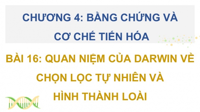 Giáo án điện tử Sinh học 12 chân trời Bài 16: Quan niệm của Darwin về chọn lọc tự nhiên và hình thành loài