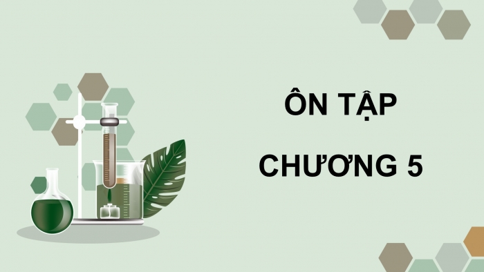 Giáo án điện tử Sinh học 12 chân trời Bài Ôn tập Chương 5