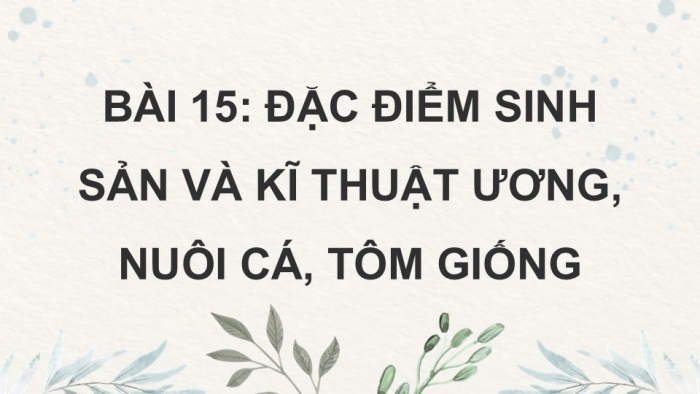 Giáo án điện tử Công nghệ 12 Lâm nghiệp Thủy sản Cánh diều Bài 15: Đặc điểm sinh sản và kĩ thuật ương cá, tôm giống