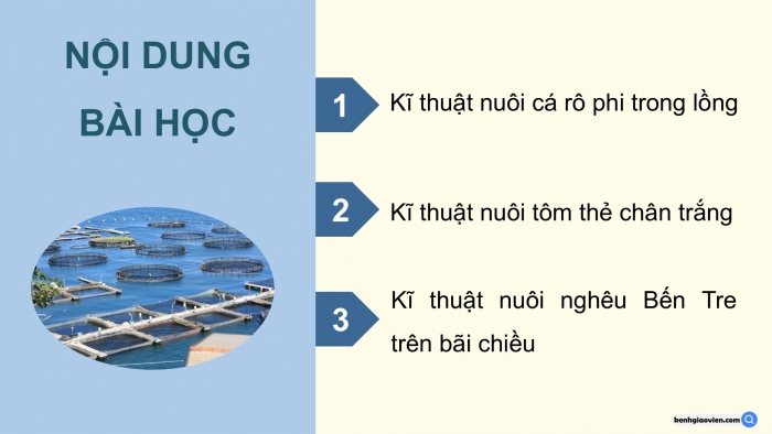 Giáo án điện tử Công nghệ 12 Lâm nghiệp Thủy sản Cánh diều Bài 18: Kĩ thuật nuôi một số loài thủy sản phổ biến