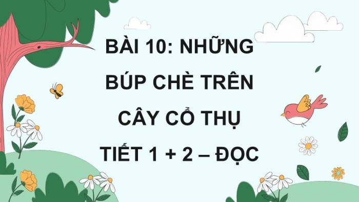 Giáo án điện tử Tiếng Việt 5 kết nối Bài 10: Những búp chè trên cây cổ thụ