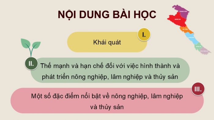 Giáo án điện tử Địa lí 12 kết nối Bài 25: Phát triển nông nghiệp, lâm nghiệp và thuỷ sản ở Bắc Trung Bộ