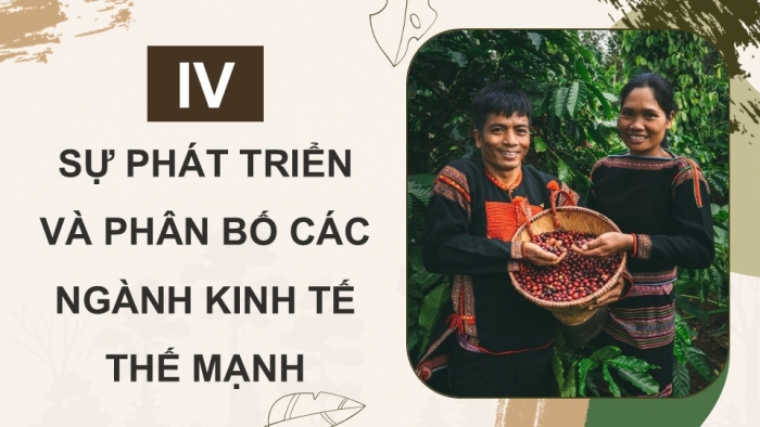 Giáo án điện tử Địa lí 9 chân trời Bài 17: Vùng Tây Nguyên (P2)