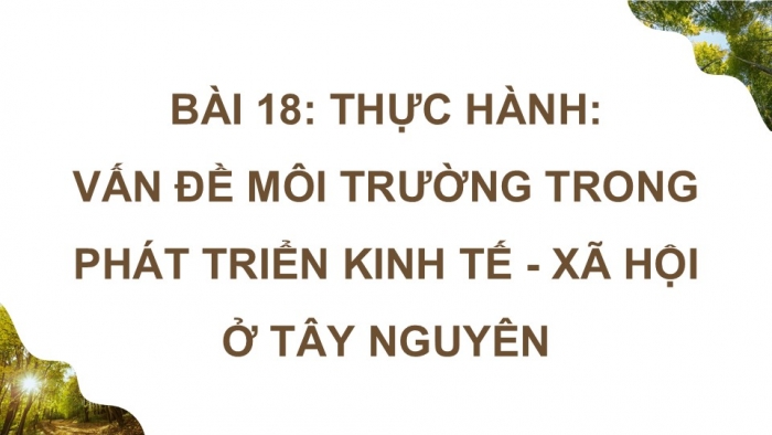 Giáo án điện tử Địa lí 9 chân trời Bài 18: Thực hành Vấn đề môi trường trong phát triển kinh tế - xã hội ở Tây Nguyên