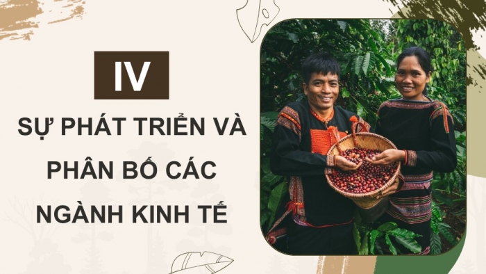 Giáo án điện tử Địa lí 9 cánh diều Bài 15: Vùng Tây Nguyên (P2)