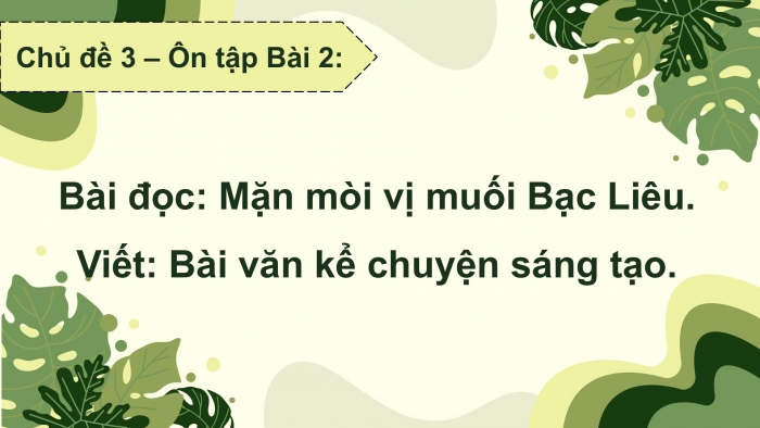 Giáo án PPT dạy thêm Tiếng Việt 5 chân trời bài 2: Bài đọc Mặn mòi vị muối Bạc Liêu. Bài văn kể chuyện sáng tạo