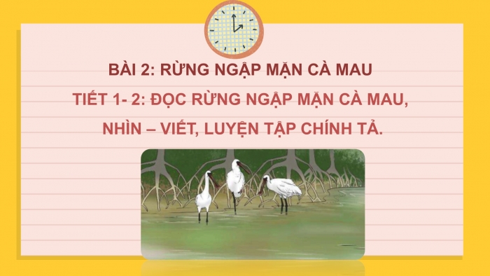 Giáo án điện tử Tiếng Việt 2 chân trời Bài 2: Đọc Rừng ngập mặn Cà Mau, Nghe – viết Rừng ngập mặn Cà Mau, Viết hoa tên địa lí, phân biệt r/d/gi, im/iêm