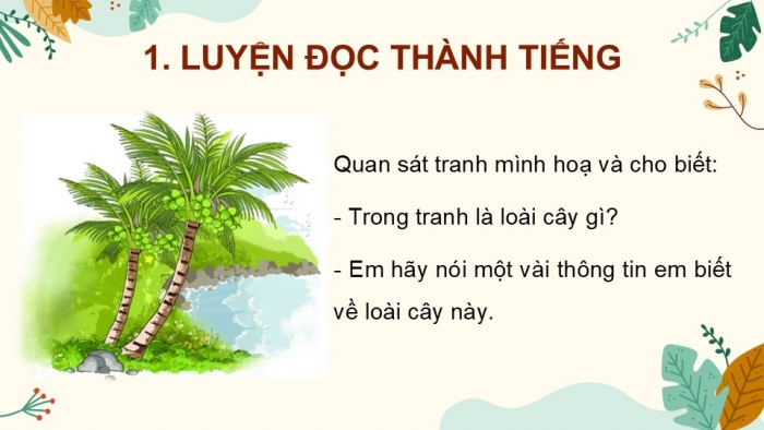 Giáo án điện tử Tiếng Việt 2 chân trời Bài 3: Đọc Cây dừa