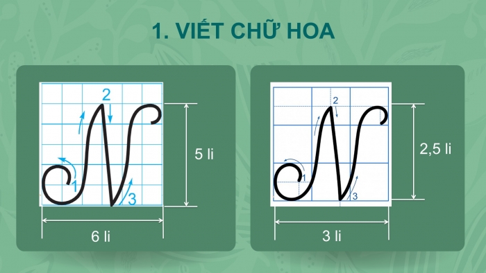 Giáo án điện tử tiếng Việt 2 kết nối Bài 25: Chữ hoa N