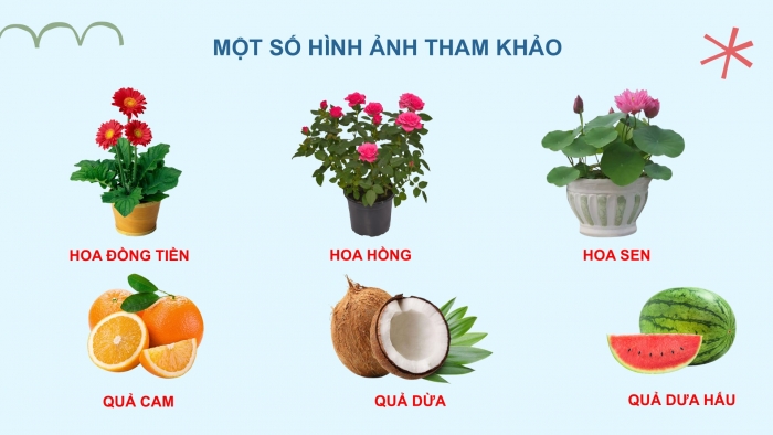 Giáo án điện tử Tiếng Việt 2 cánh diều Bài 21: Quan sát tranh ảnh cây, hoa, quả