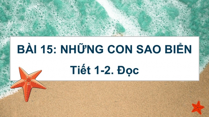 Giáo án điện tử Tiếng Việt 2 kết nối Bài 15: Những con sao biển